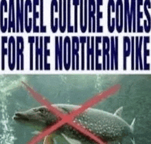 a picture of a fish with the words cancel culture comes for the northern pike on it .