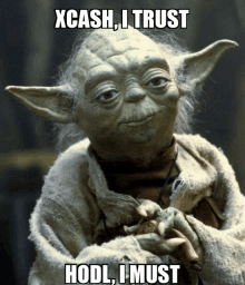 a picture of yoda with the words xcash i trust hodl i must