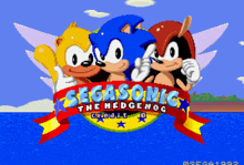 a sega sonic the hedgehog video game shows sonic and his friends