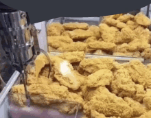 a machine is holding a pile of fried chicken wings in a container .