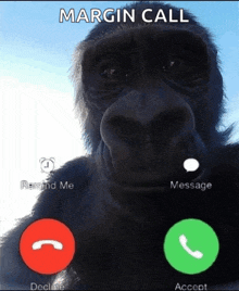 a picture of a gorilla on a phone with the words margin call written above it