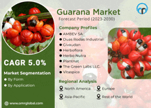 an advertisement for the guarana market shows a picture of a plant