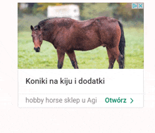 a picture of a horse in a field with the words koniki na kiju i dodatki above it