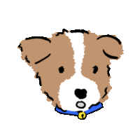 a brown and white dog is wearing a blue collar