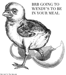 a black and white drawing of a chicken with the words brb going to wendy 's to be in your meal below it