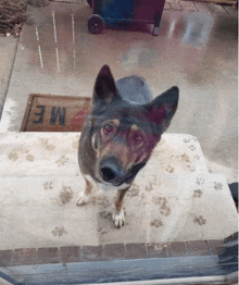 a dog standing in front of a welcome mat that says me on it