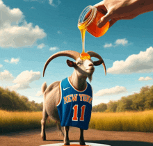 a goat wearing a new york jersey with number 11 on it