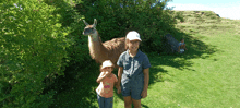 a girl wearing a pink shirt that says ' i love you ' on it stands next to a llama