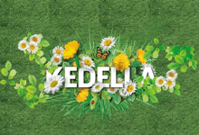 the word medella is surrounded by daisies and a butterfly