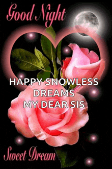 a good night message with two pink roses and the words happy snowless dreams my dear sis