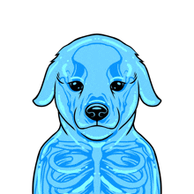 a drawing of a blue dog with a skeleton on its chest