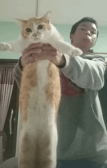 a man is holding a cat that is very long