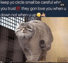 a picture of a cat with a caption that says keep yo circle small