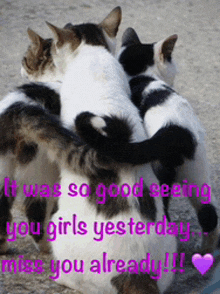 three cats hugging each other with the words " it was so good seeing you girls yesterday miss you already !!! "