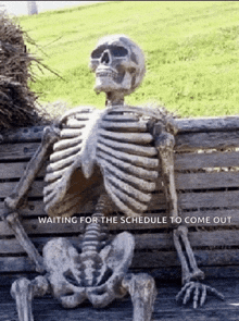 a skeleton is sitting on a wooden bench with the words waiting for the schedule to come out below it