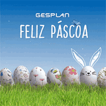 a row of decorated easter eggs in the grass with the words gesplan feliz pascoa written above them