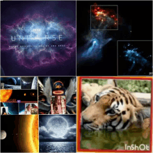 a collage of images including a tiger and the word universe