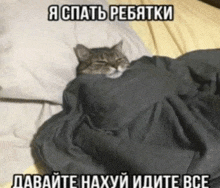 a cat is wrapped in a blanket on a bed