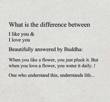 the difference between i like you and i love you beautifully answered by buddha .