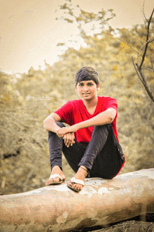 a young boy in a red shirt sits on a log in the woods