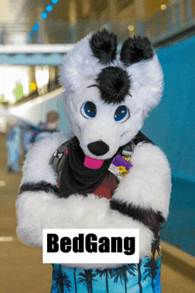 a person in a furry costume with the word bedgang on the front