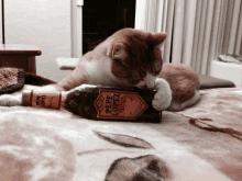 a cat laying on a bed next to a bottle of pepe lopez tequila