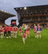 a group of soccer players are standing on a field with a stadium in the background that has the word wolves on it