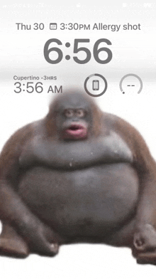 a phone screen shows a monkey with the time 6:56