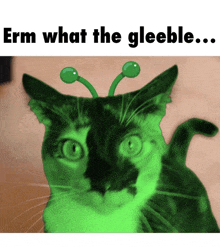 a black and white cat with green antennas on its head and the words " erm what the gleeble " above it