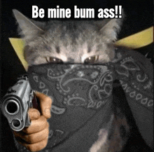 a cat wearing a bandana is pointing a gun at the camera with the words be mine bum ass written below it