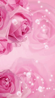 a pink background with pink roses and pearls on it