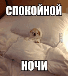 a small dog is laying on a bed with a caption in russian