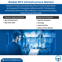 a flyer for the global nfv infrastructure market