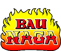 a logo for a company called bau naga with flames around it