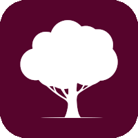 a purple square with a white tree icon on it