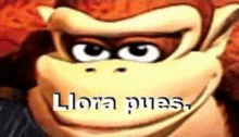 a close up of donkey kong 's face with the words `` llora pues '' written in the corner .