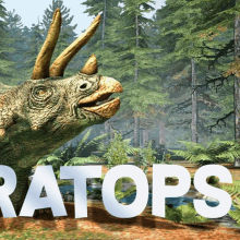 a picture of a triceratops in a forest with the word triceratops in white letters