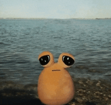 a stuffed animal with big eyes is standing on the beach near the ocean .