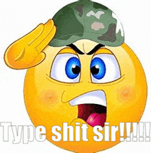 a smiley face wearing a military hat and saluting with the words `` type shit sir '' .