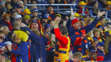 a crowd of people cheering in a stadium with a man wearing a yellow vest that says ' nsw ' on it