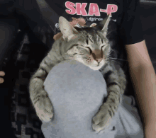 a person wearing a ska-p shirt holds a cat on their lap