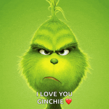 a picture of the grinch with the words i love you ginchie