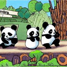 three panda bears are standing in front of a building that says " tiger "