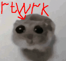 a drawing of a cat with the word " rtwrk " written above it