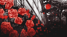 a bunch of red roses in a black and white scene