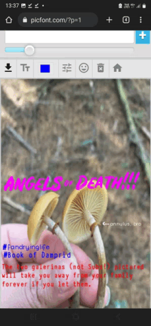 a phone screen shows a picture of mushrooms and says angels or death