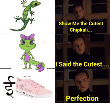 a man says show me the cutest chipkali