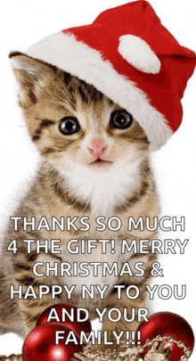 a kitten wearing a santa hat says " thanks so much 4 the gift merry christmas and happy ny to you and your family "