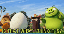 a picture of angry birds with the words " is that what i think it is " at the bottom