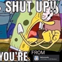 a cartoon of spongebob saying " shut up you 're from nekomunity "